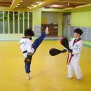 한샘태권도장 이미지