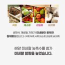 참미래식량연구소 발효생채식 비건쉐이크 섭취 찐후기