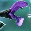 내가꽃이다 이미지