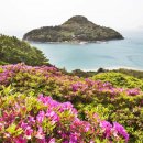 와현농장 이미지