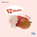 여로다방 - 제천시 내토로27길 28 | [2025일상] #33_12,13주차