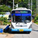 곰섬야영장 이미지