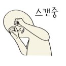 오픈네일 이미지
