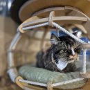 멍이와 쿤이 이미지