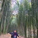 조형벤치(물레방아) | 담양 죽녹원, 담양여행의 필수코스! 시부모님과 아이랑 다녀온 후기