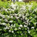 비보이 공공조형물  이미지