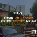 앤포에트 | 봄, 가을에 가기 좋은 상수 분위기 맛집, 브런치가 맛있는 가든포에트 방문 후기