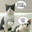 에이투어 | 홍대 이색 데이트 코스 추천! 귀여운 동물들이 가득한 실내동물원 ‘테이블에이 홍대점’ 층별 투어 후기