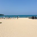 진하해수욕장 이미지