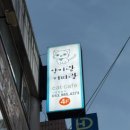 고양이카페 랙돌 | 대구고양이카페 양이랑커피랑 고양이카페 동성로 데이트코스 후기