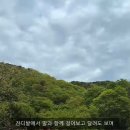 바모스크리에이터