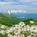 평창세차장 | [공지] 6월 평창 여행지 추천 육백마지기 솔직후기 &amp; 꿀팁 총정리