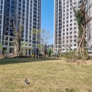 중흥부동산공인중개사사무소 네이버블로그