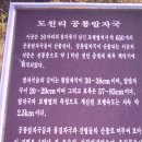 도천리 공룡 발자국 이미지