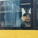 올키 올바른 수세미작두콩 섭취 후기 아기수세비즙 유아작두콩차 간편한 스틱형