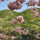 각원사길 이미지