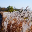 세품글로벌 이미지