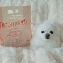 우리덴탈 | 어반포즈 닥터뉴트리코어 다이제스티브200 강아지덴탈껌 후기