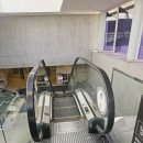 파라오 | 빛의 시어터 이집트 – 워커힐 호텔에서 만난 ‘파라오의 이집트’ 전시 후기