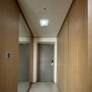 세곡-113 티스토리
