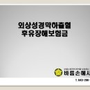 S0651 네이버블로그