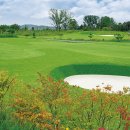 OK 골프클럽 이미지