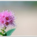 사진과포토샵 이미지