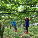 하동농장 이미지