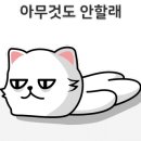 매직트리브루어리