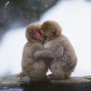 스파월드짐 이미지