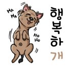 왕십리조은동물병원 이미지