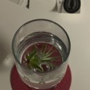 까망감스테이 이미지