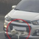 블루축산동물병원 이미지