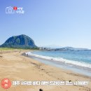 푸른섬사진관 | 제주 서귀포 바다 해변 드라이브 추천 사계해안