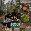 백계로 | 광양백운산자연휴양림 1야영장 30번데크후기, 우중캠핑에 숲속책방 막걸리의 환상조합!