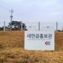 부안 가볼만한곳 새만금홍보관 완벽가이드 부안 여행 필수 코스 방조제 드라이브