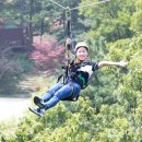 좌구산휴양랜드 이미지