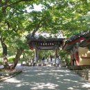 수덕사 진입로 이미지