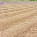 조은터농장 이미지