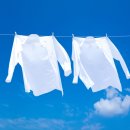 백광세탁 이미지