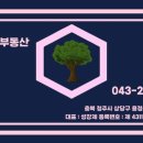 큰솔공인중개사사무소 이미지