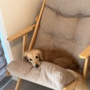 가평더뮤즈펜션 이미지