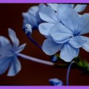 태평양마트 이미지