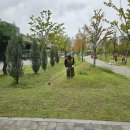 조경기능사(야간) 이미지