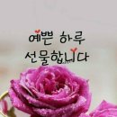예쁜하루 이미지