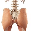 강정동-3 이미지