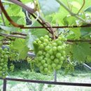 삼척엘피지충전소 이미지