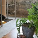 신흥산장 이미지