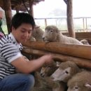 종식목장 이미지