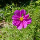 임진적벽길 이미지